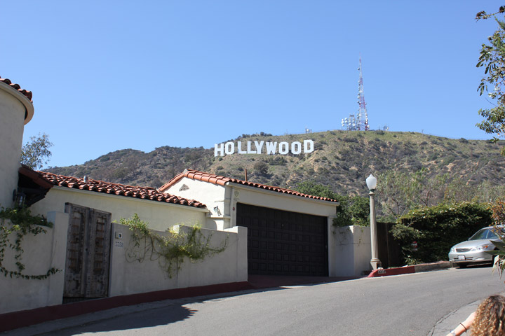Image 8