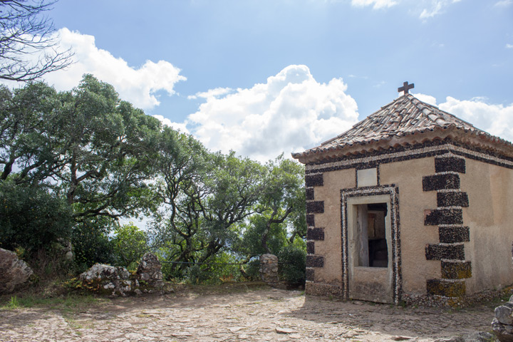 Image 12